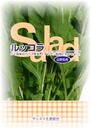 サンスイ生産組合 ルッコラ