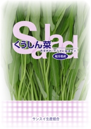 サンスイ生産組合 くうしん菜