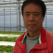 サラダほうれん草 農家