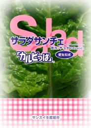 サンスイ生産組合 サラダサンチュ