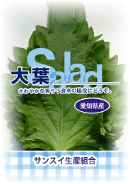 サンスイ生産組合 大葉 (シソ)