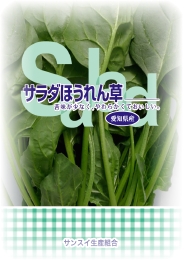 サンスイ生産組合 サラダほうれん草