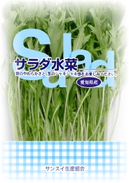 サンスイ生産組合 サラダ水菜