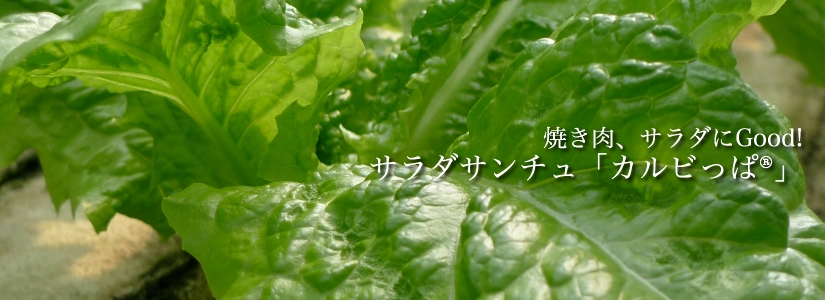 サラダサンチュ 「カルビっぱ」 焼き肉、サラダにGood!