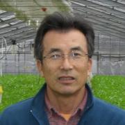 くうしん菜 農家