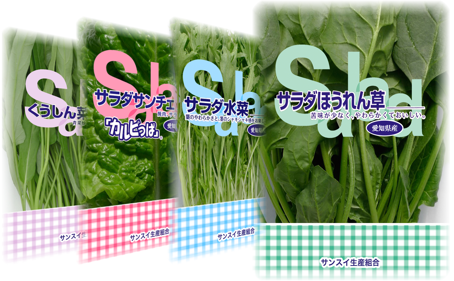 様々な野菜を出荷