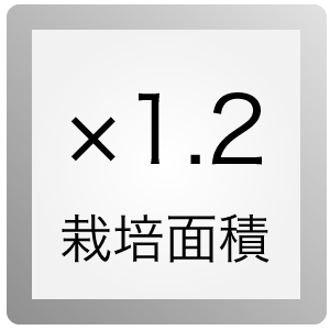 栽培面積1.2倍